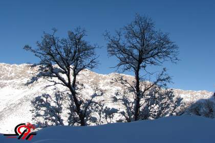 طبیعت زمستانی کردستان