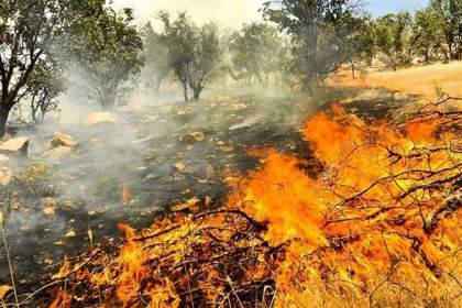 ابراز نگرانی مدیرکل منابع طبیعی کردستان از افزایش خطر آتش‌سوزی در عرصه‌های مرتعی و جنگلی